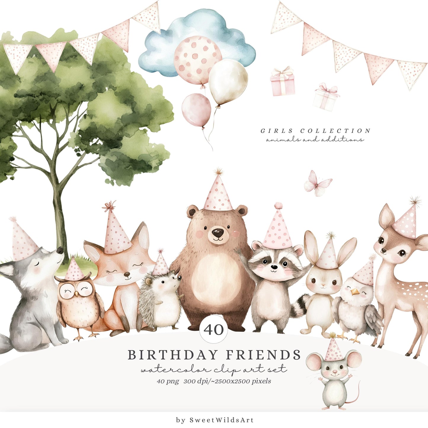 Birthday Friends - Cute Woodland, Baby Animal Clipart, Baby Girl Birthday | 40 PNG