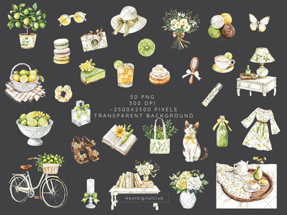Fresh Essence - Clipart, Cozy Spring, Floral, Citrus | 50 PNG