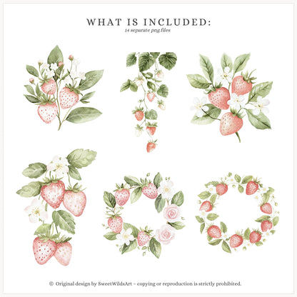 Sweet Strawberry - Strawberry and Rose Floral Arrangements | 14 PNG