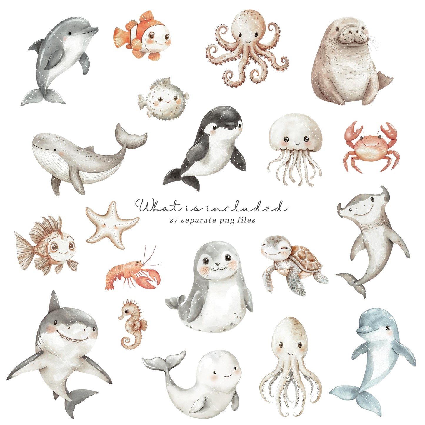 Sea Friends - Cute Sea Animals Clipart, Ocean, Sealife, Underwater, Nursery  | 37 PNG