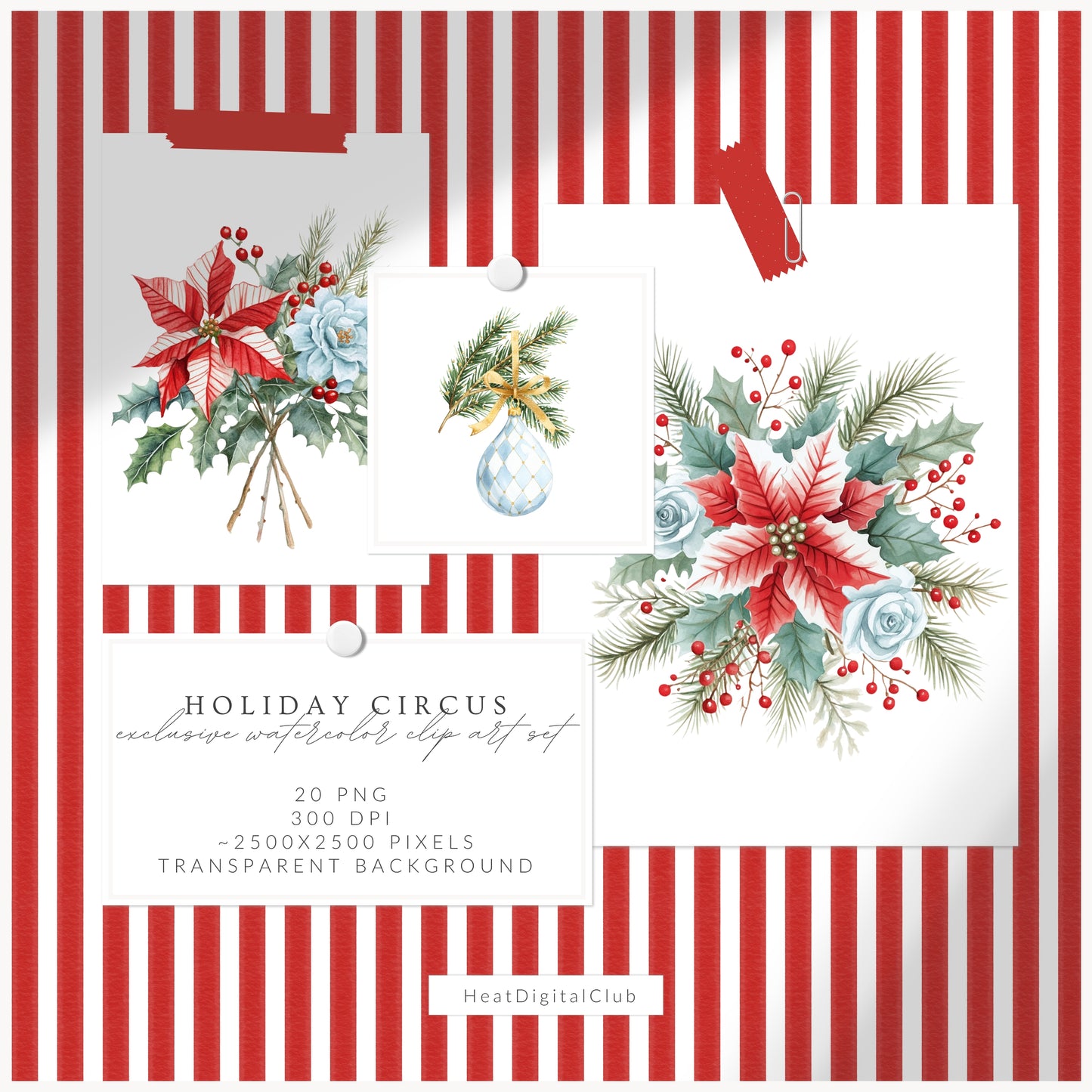 Holiday Circus - Floral Arrangements, Poinsettia, Festive Christmas Flowers | 20 PNG
