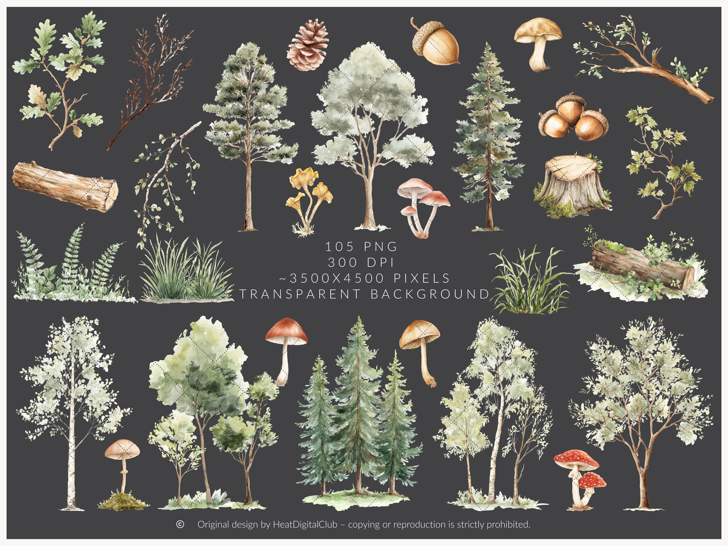 Woodland Archive - Clipart, Vintage Forest Scrapbook Set, Woodland Animals, Forest Papers | 105 PNG
