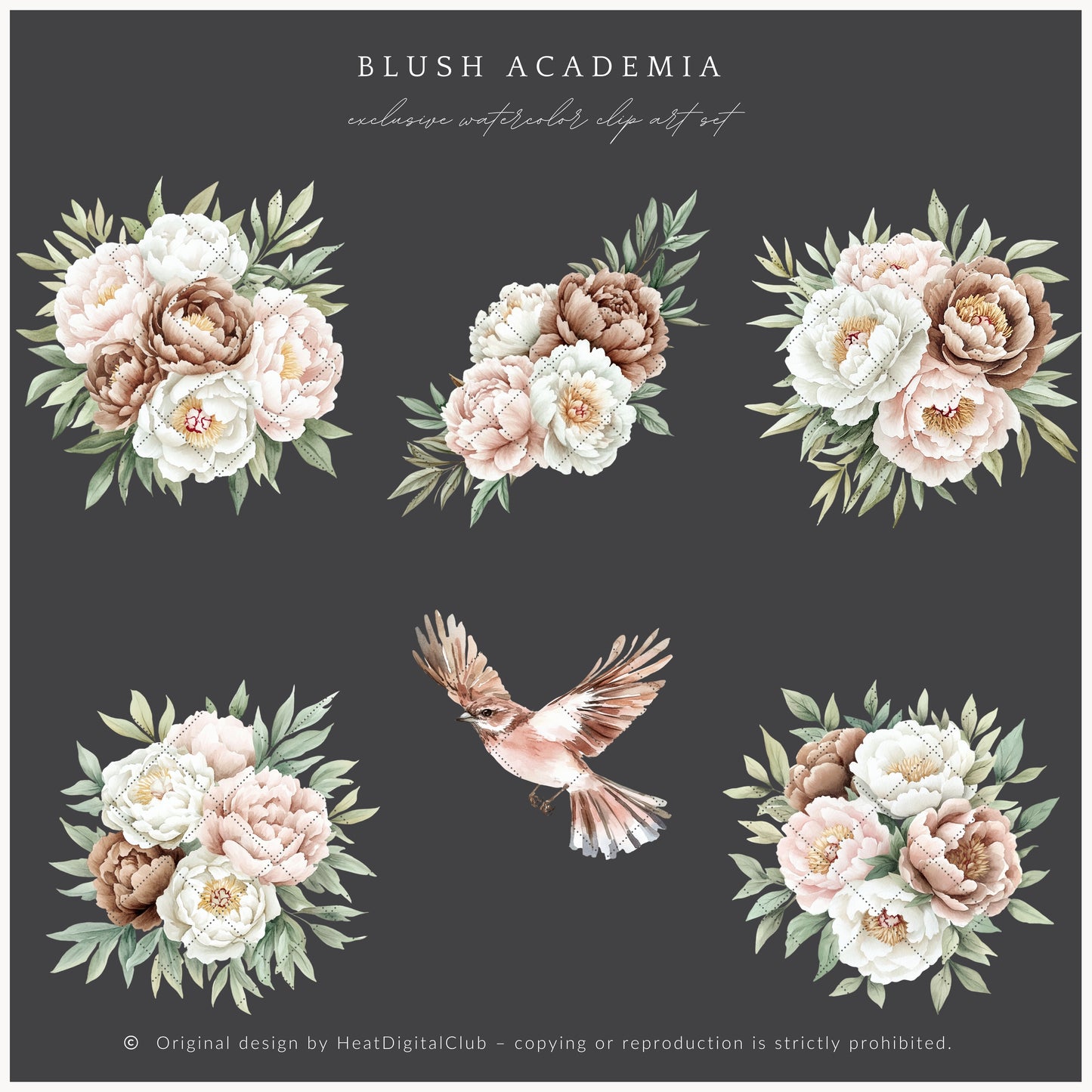 Blush Academia - Floral Arrangements, Peonies, Light Academia Flowers | 12 PNG