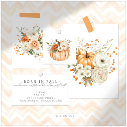 Born In Fall - Floral Arrangements Clipart, Autumn, Pumpkins, Soft Orange & Brown | 12 PNG