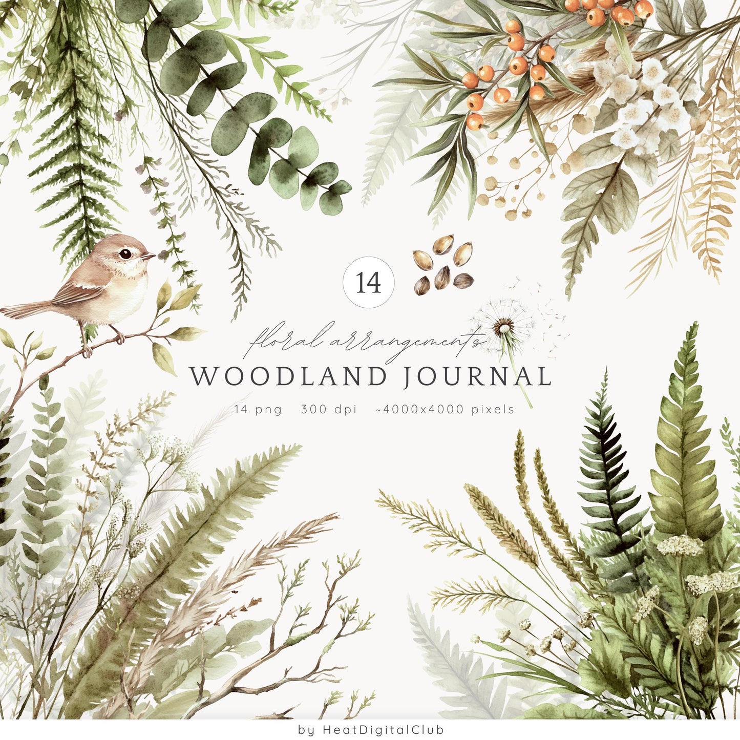 Woodland Journal - Floral Arrangements, Botanical Forest Herbs | 14 PNG