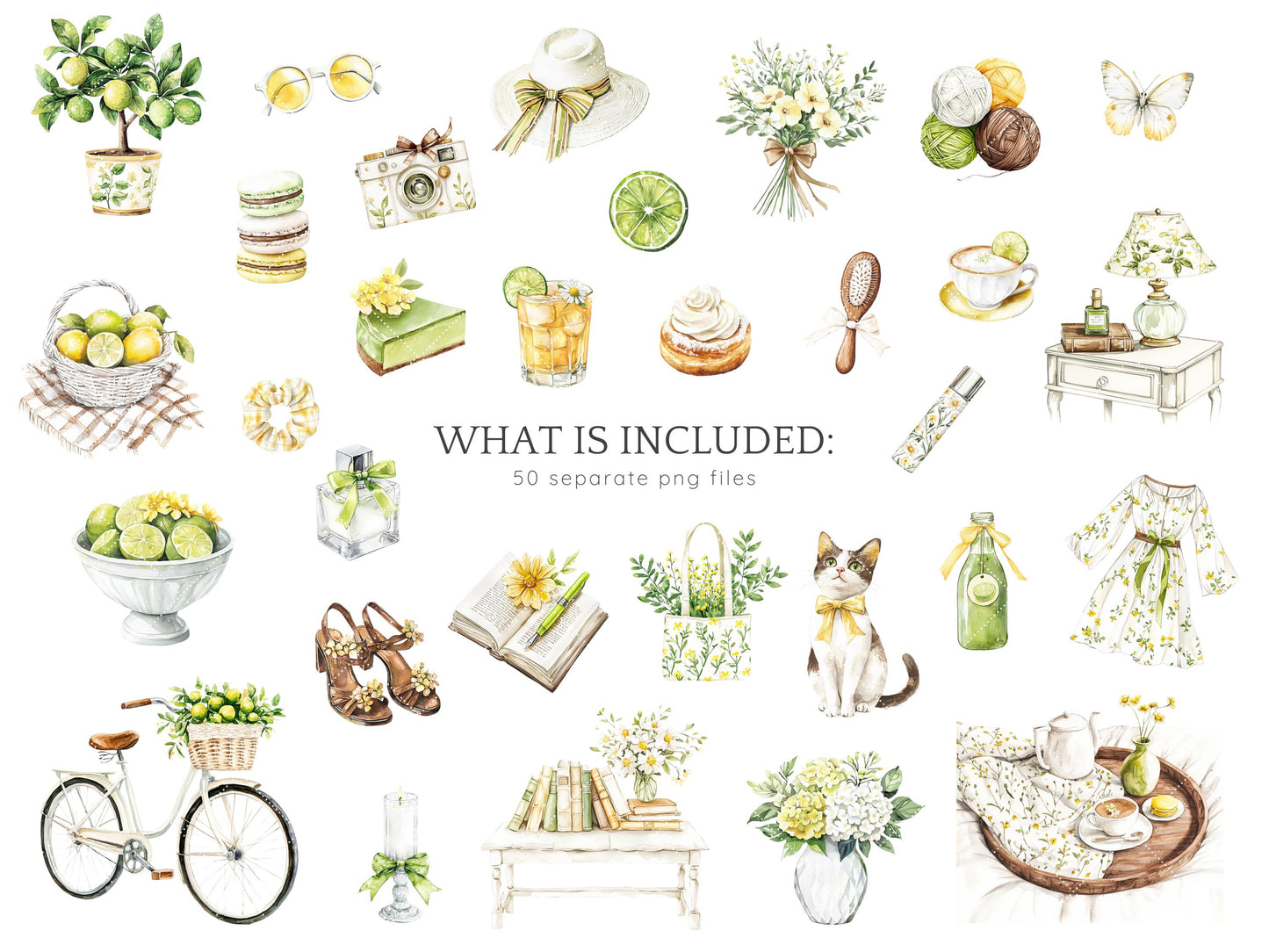 Fresh Essence - Clipart, Cozy Spring, Floral, Citrus | 50 PNG