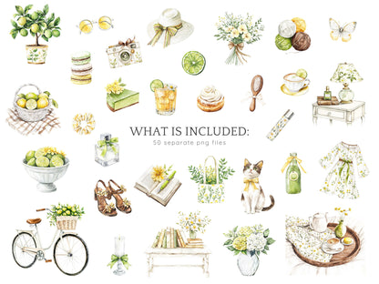Fresh Essence - Clipart, Cozy Spring, Floral, Citrus | 50 PNG