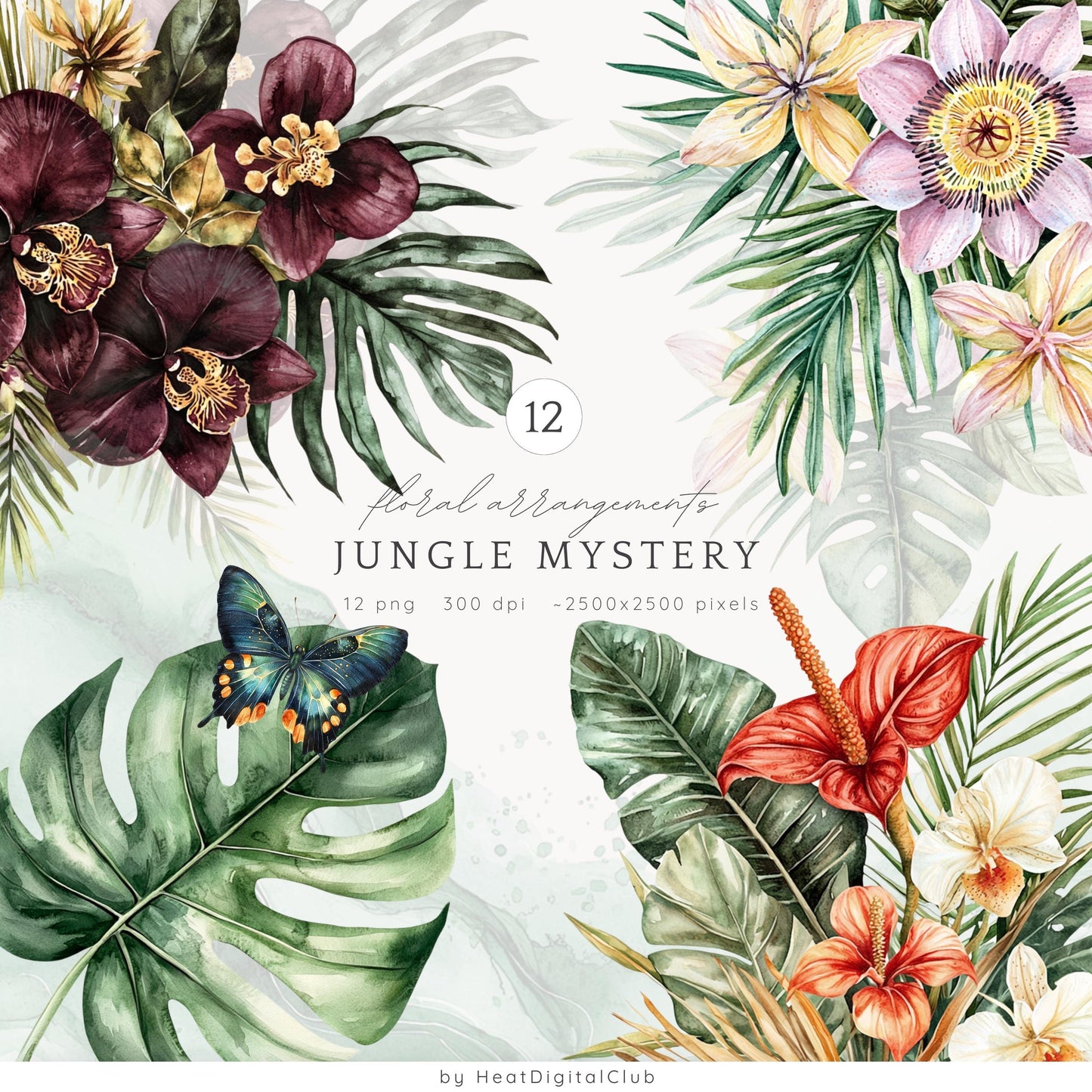 Jungle Mystery -  Collection Bundle, Travel Clipart, Planner, Tropical | 74 PNG/JPEG