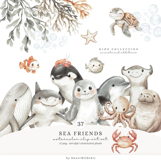 Sea Friends - Cute Sea Animals Clipart, Ocean, Sealife, Underwater, Nursery  | 37 PNG