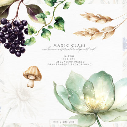 Magic Class - Floral Arrangements, Botanical Witchy Fantasy Clipart | 16 PNG