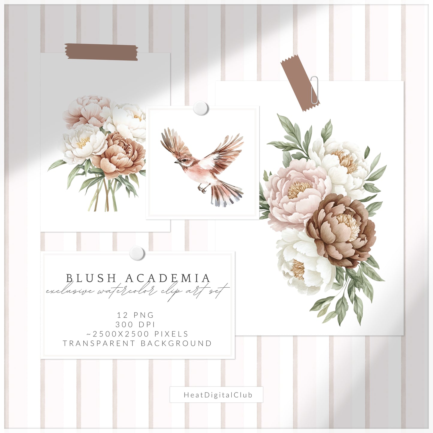 Blush Academia - Floral Arrangements, Peonies, Light Academia Flowers | 12 PNG