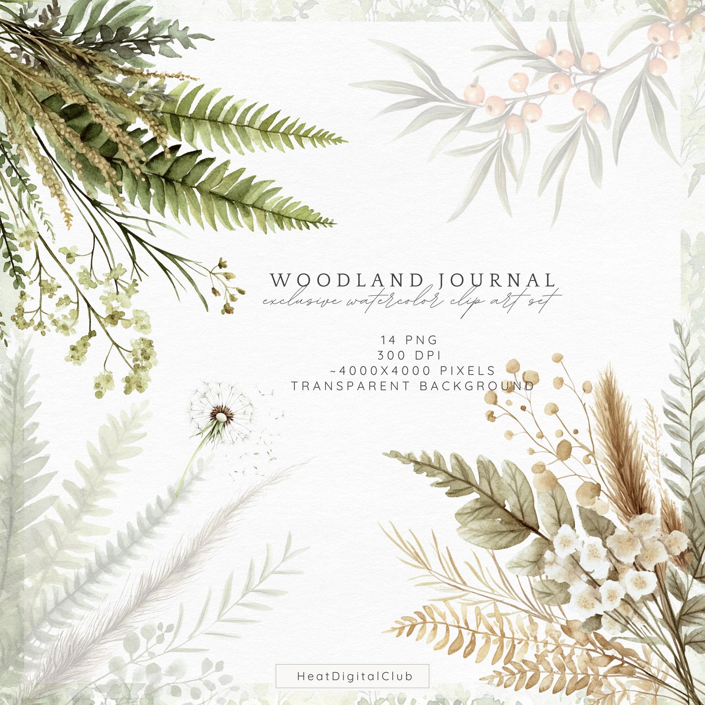 Woodland Journal - Floral Arrangements, Botanical Forest Herbs | 14 PNG