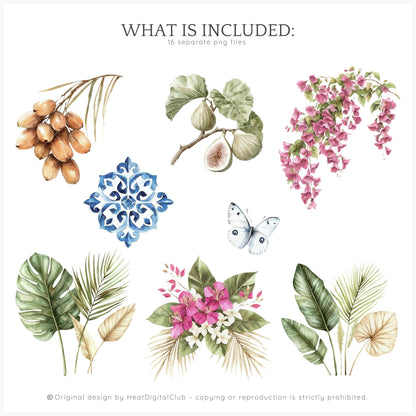 Morocco Spirit – Summer Floral Arrangements | 16 PNG