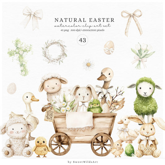 Natural Easter - Cute Easter Clipart, Bunny, Chick, Sheep, Egg, Floral | 43 PNG