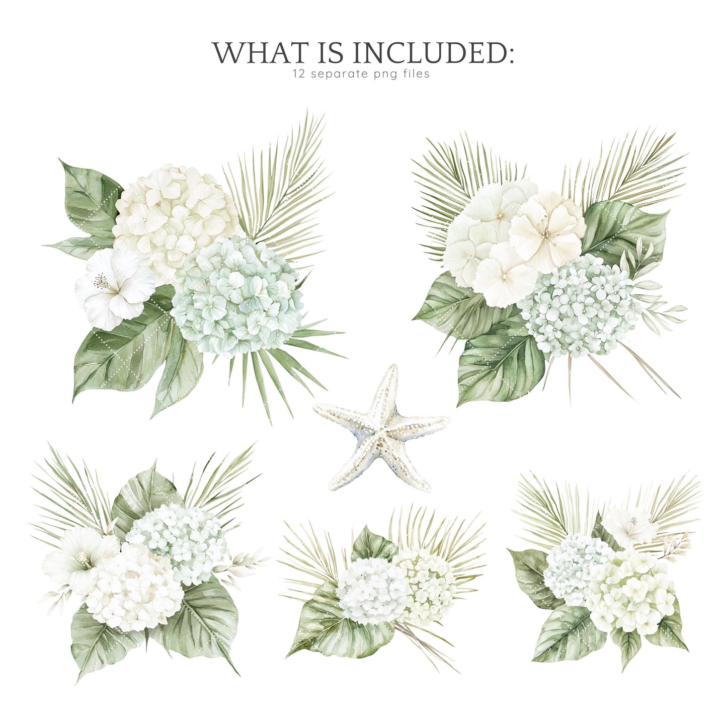 Coastal Serenity - Floral Arrangements, Botanical Clipart | 12 PNG