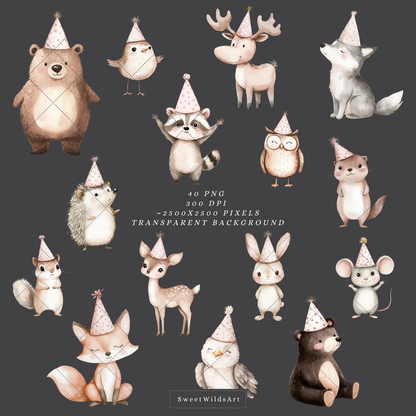 Birthday Friends - Cute Woodland, Baby Animal Clipart, Baby Girl Birthday | 40 PNG