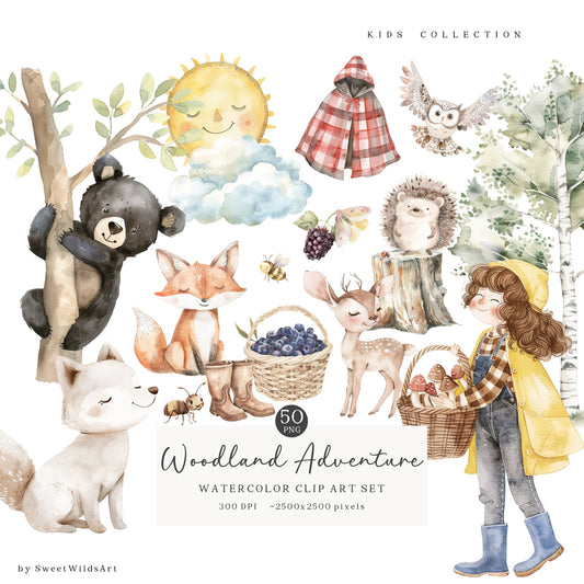 Woodland Adventure - Cute Animals Clipart, Baby Shower, Nursery, Boho Forest | 50 PNG