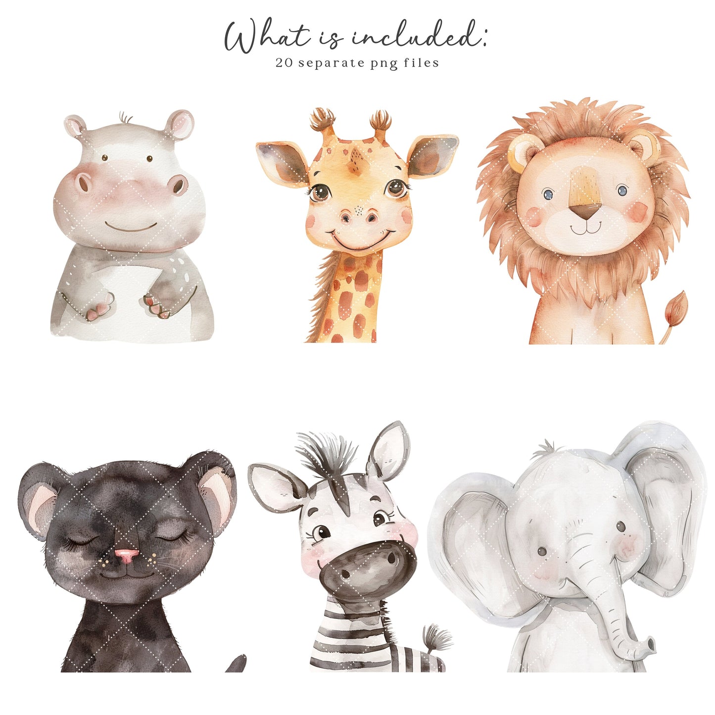 Safari Portraits - Cute Animals Clipart, Baby Animals, Baby Shower, Nursery | 20 PNG