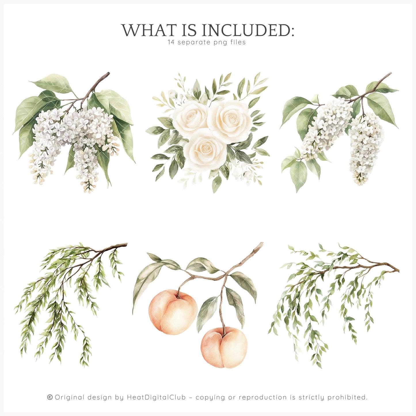 Summer Château - White Cream Roses Floral Arrangements | 14 PNG