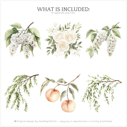Summer Château - White Cream Roses Floral Arrangements | 14 PNG