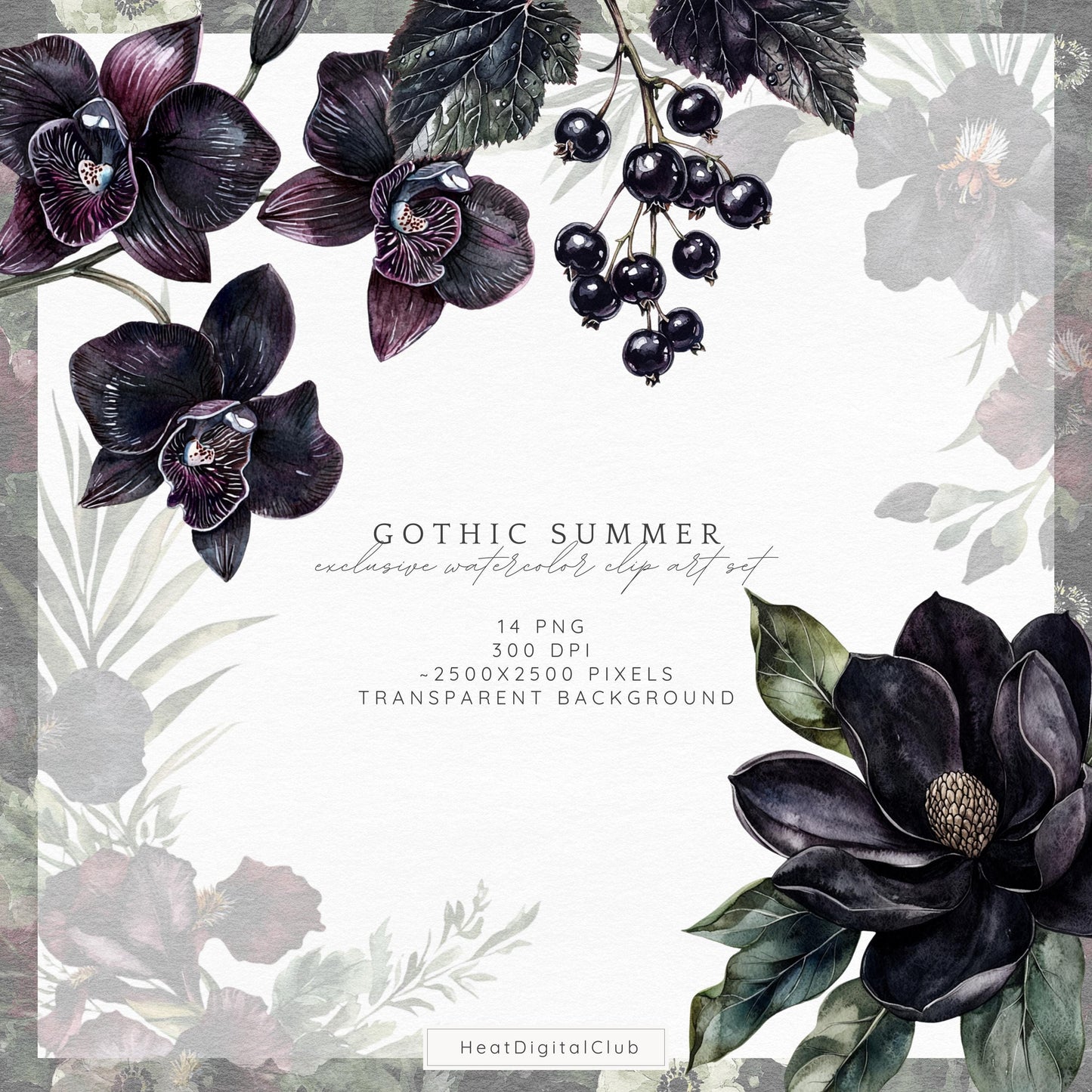 Gothic Summer - Floral Arrangements, Moody Botanical Clipart | 14 PNG