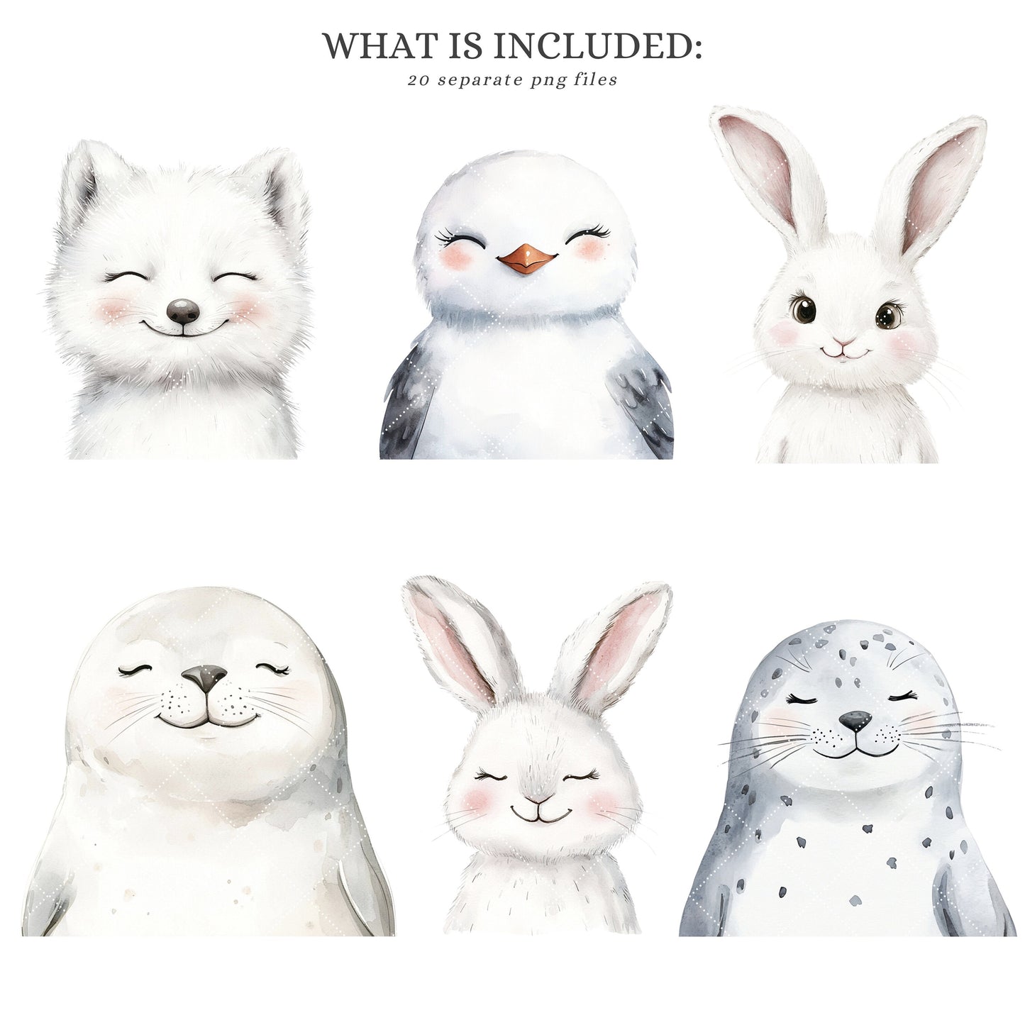 Arctic Portraits - Cute Animals Clipart, Winter Baby Shower, Polar Nursery | 20 PNG