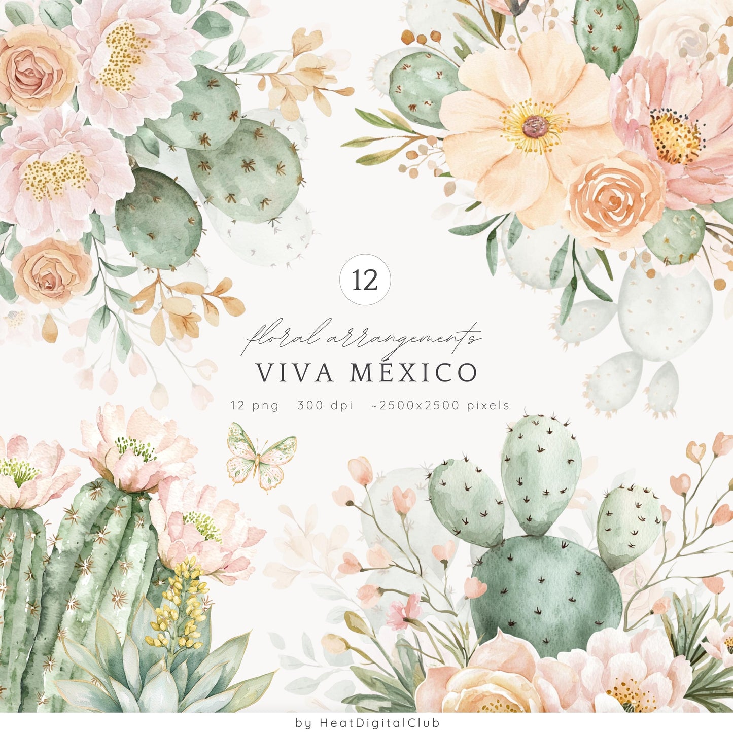 Viva Mexico - Collection Bundle, Cinco de Mayo Clipart, Pinata | 77 PNG/JPEG