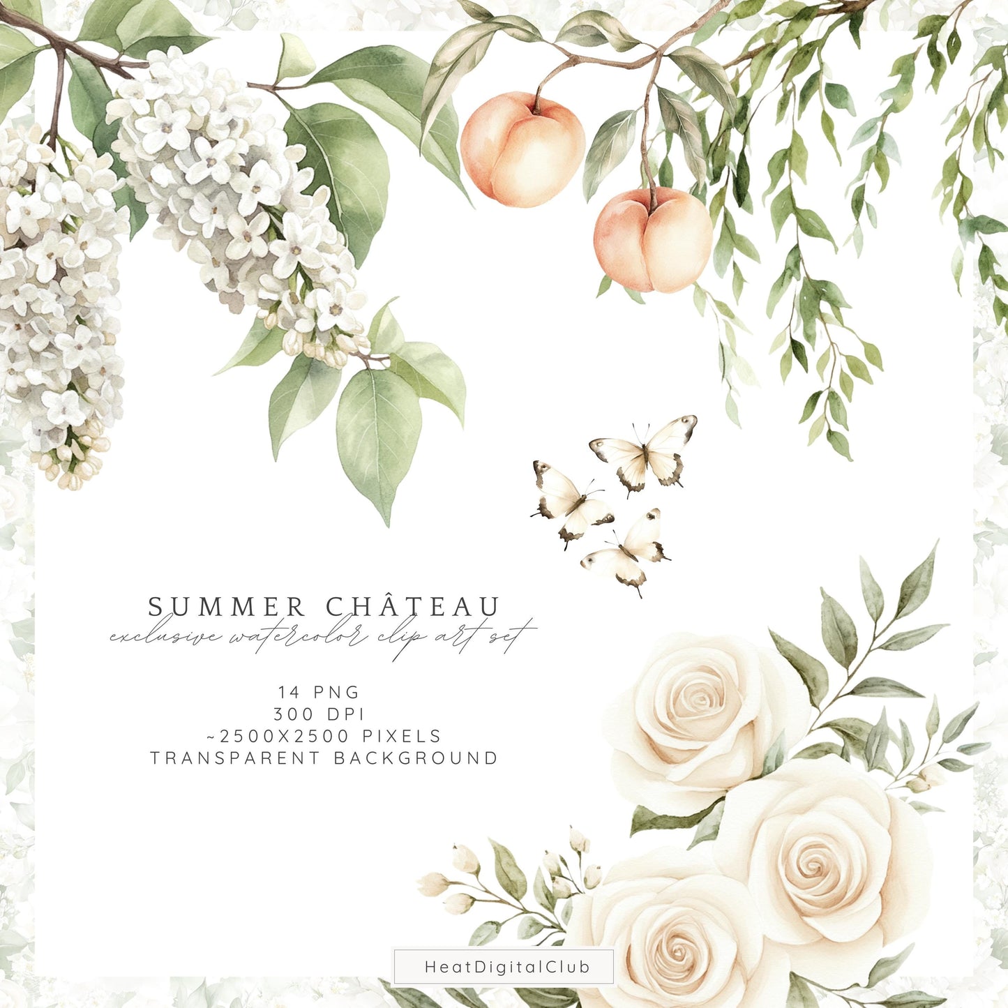 Summer Château - White Cream Roses Floral Arrangements | 14 PNG