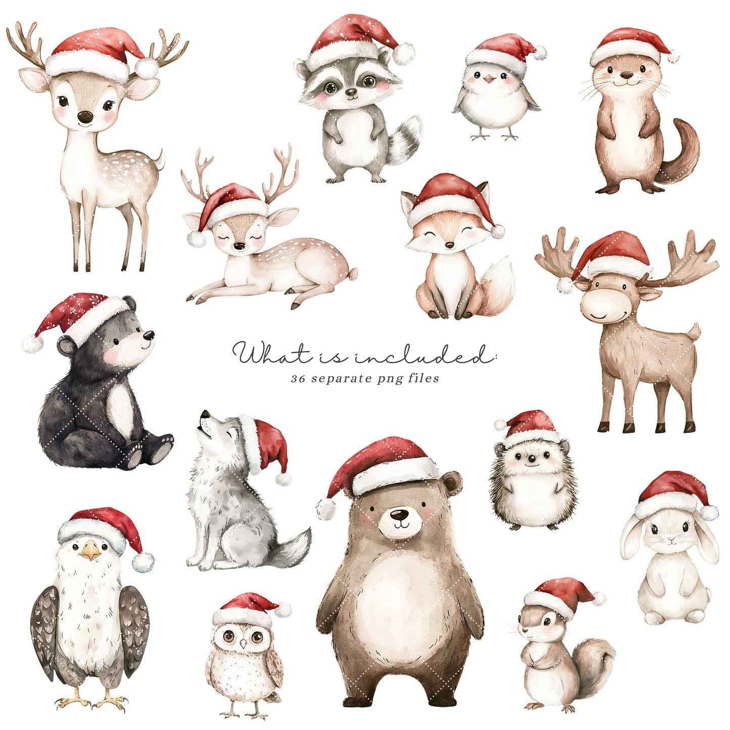 Woodland Friends - Cute Xmas Animals, Christmas Babies Clipart, Winter | 36 PNG