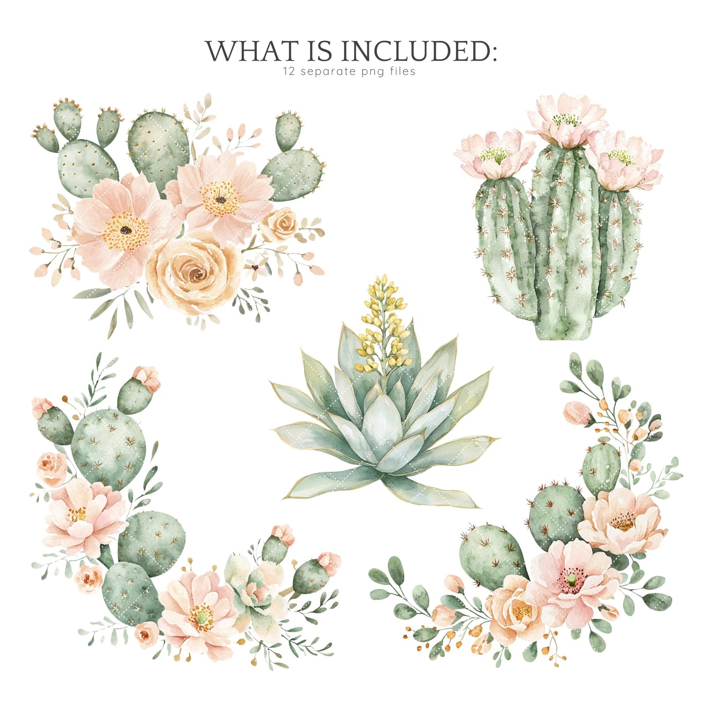 Viva Mexico -  Floral Arrangements Clipart, Cinco De Mayo, Cactus | 12 PNG
