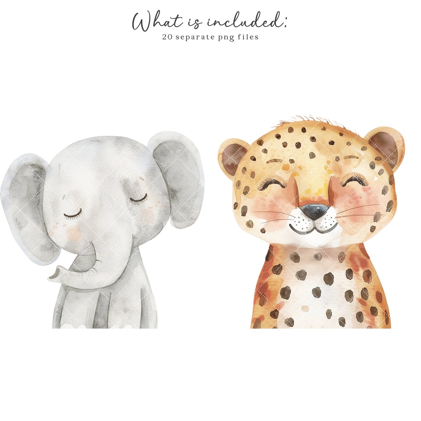 Safari Portraits - Cute Animals Clipart, Baby Animals, Baby Shower, Nursery | 20 PNG