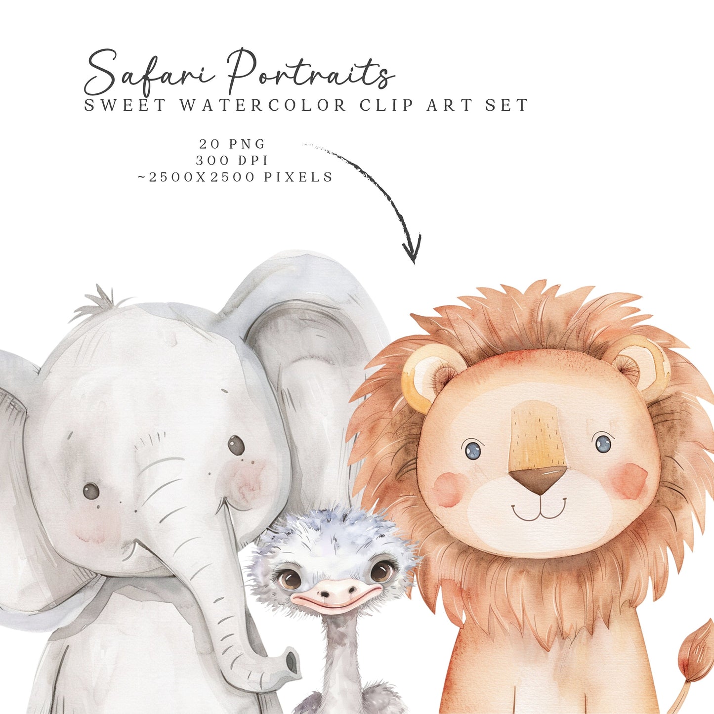 Safari Portraits - Cute Animals Clipart, Baby Animals, Baby Shower, Nursery | 20 PNG