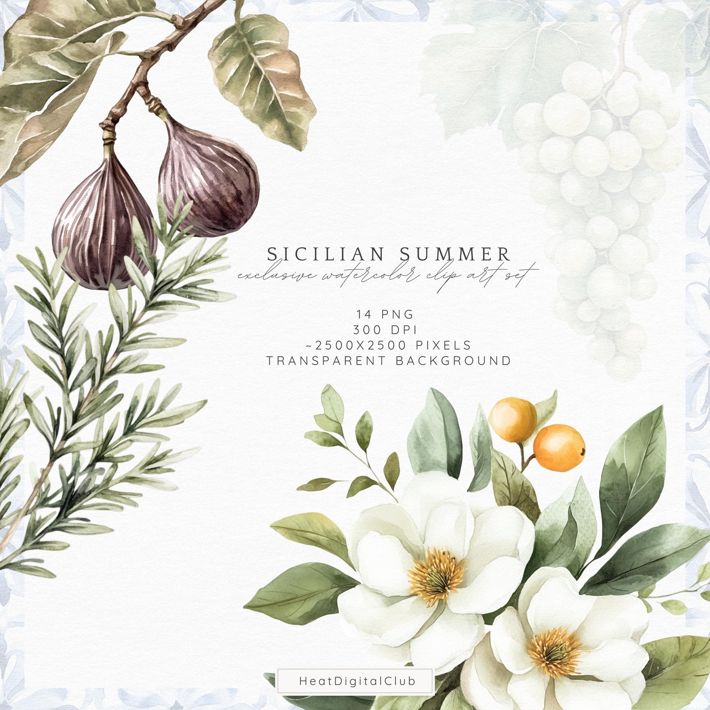 Sicilian Summer - Floral Arrangements, Amalfi Clipart,Italian | 14 PNG