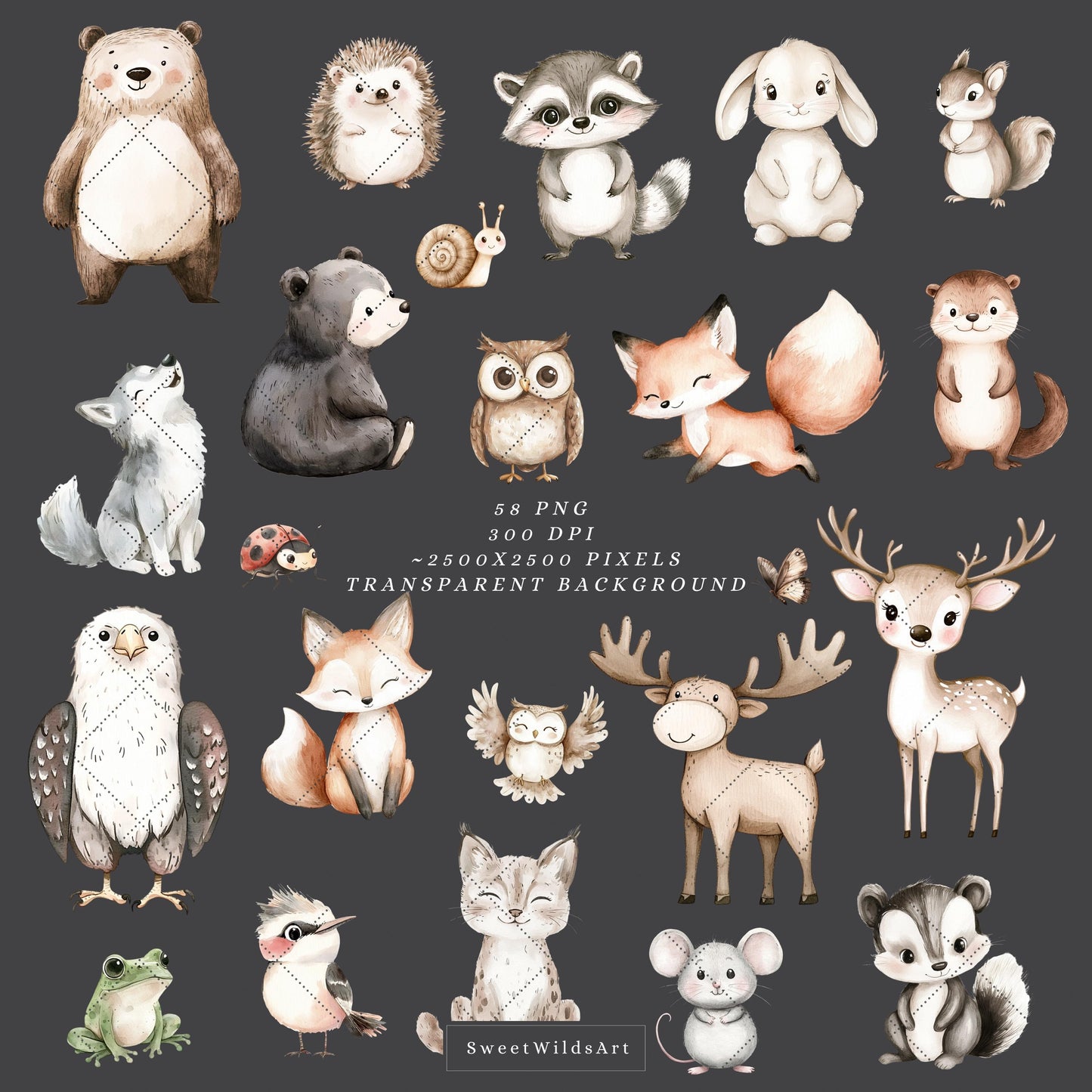 Woodland Story - Cute  Baby Animal Clipart, Baby Shower, Nursery | 58 PNG